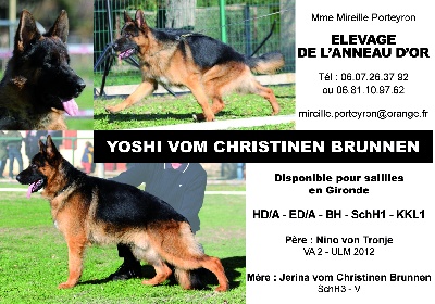 ETALON POUR SAILLIE YOSCHI VOM CHRISTINEN BRUNNEN